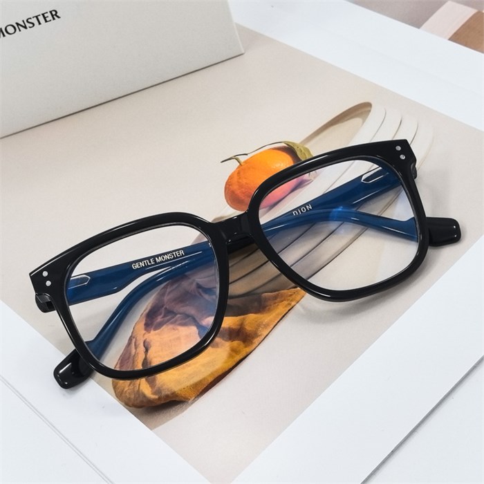 GENTLE MONSTER DION черный BR01566