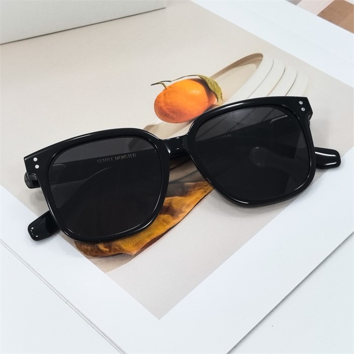 GENTLE MONSTER DION черный черный BR01564