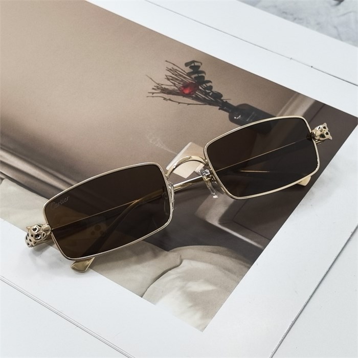 CARTIER CT0473S золото коричневый BR02051