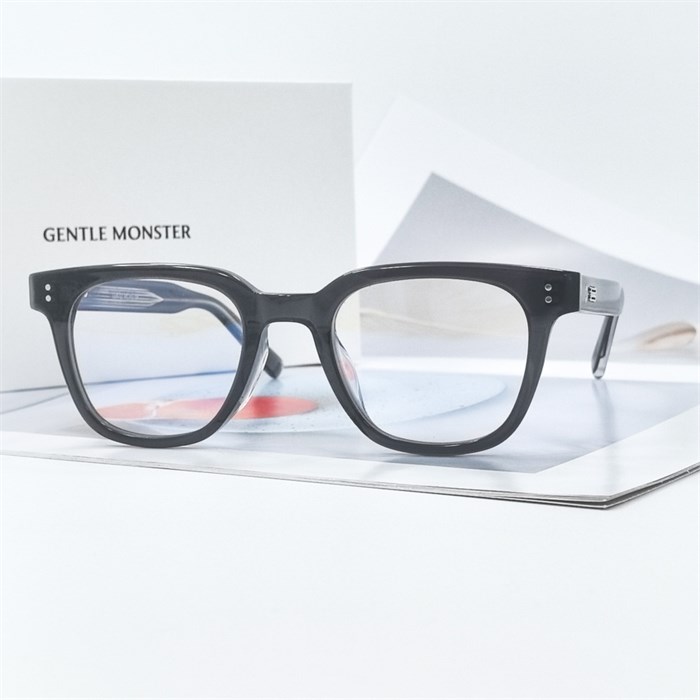 GENTLE MONSTER KARL серый BR01595