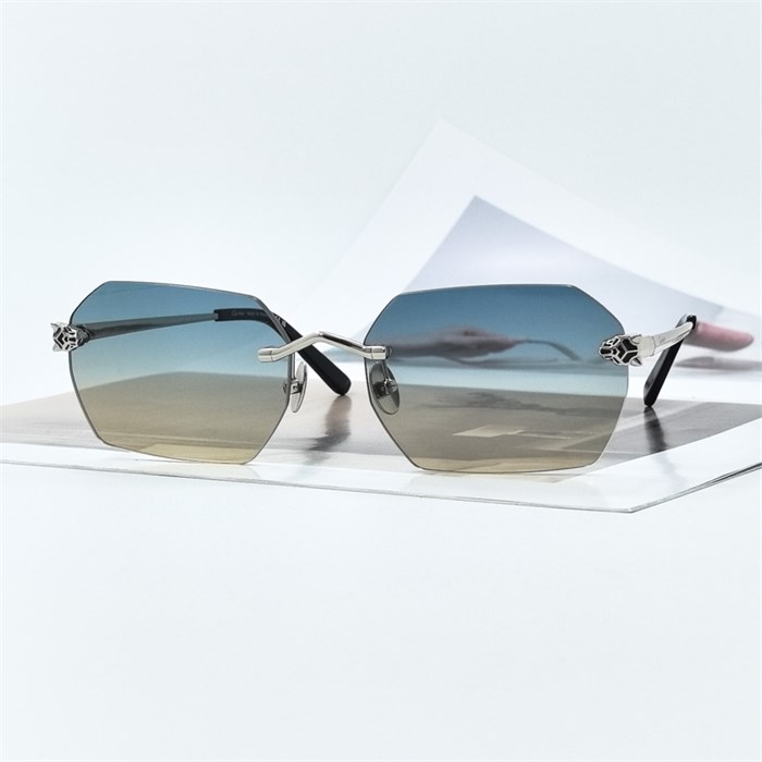 CARTIER CT0504S C.03 серебро BR01959