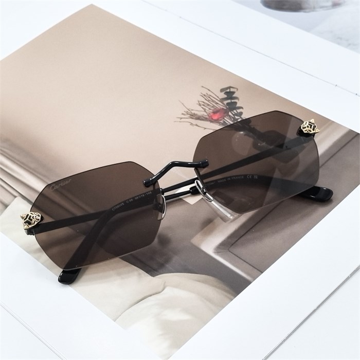 CARTIER CT0504S C.05 черный BR01961