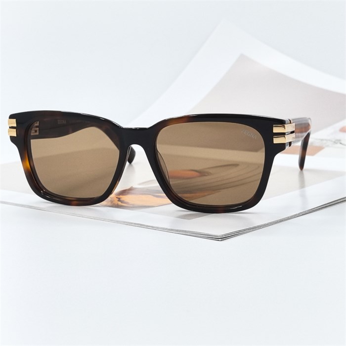 ERMENEGILDO ZEGNA EZ 0237 черепаховый коричневый BR02074