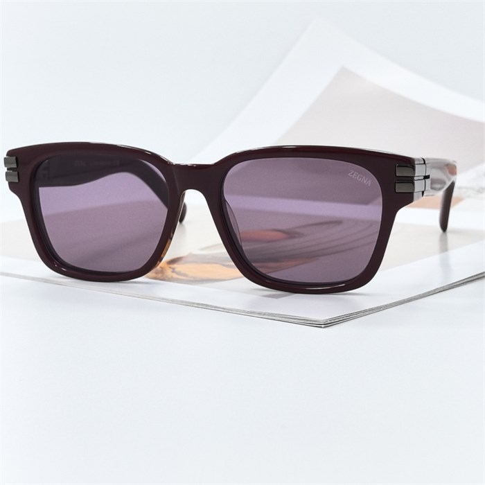 ERMENEGILDO ZEGNA EZ 0237 бордовый бордовый BR02076