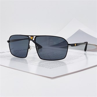 {{photo.Alt || photo.Description || 'FERRARI FR0189 C.8 черные поляризованные'}}