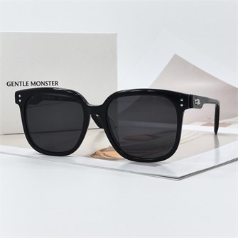 {{photo.Alt || photo.Description || 'GENTLE MONSTER DION черный черный'}}