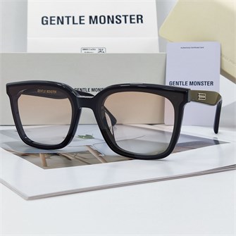 {{photo.Alt || photo.Description || 'GENTLE MONSTER PLOT черный оранжевый'}}