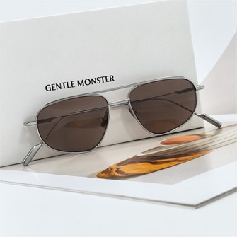 {{photo.Alt || photo.Description || 'GENTLE MONSTER RAFFLES Titanium серебро чайный'}}