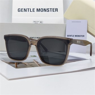 {{photo.Alt || photo.Description || 'GENTLE MONSTER PLOT хаки серый'}}