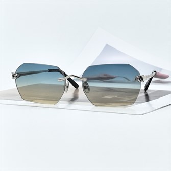 {{photo.Alt || photo.Description || 'CARTIER CT0504S C.03 серебро'}}