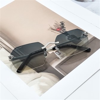 {{photo.Alt || photo.Description || 'CARTIER CT0504S C.03 серебро'}}