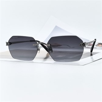 {{photo.Alt || photo.Description || 'CARTIER CT0504S C.04 графит'}}