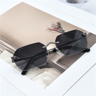 {{photo.Alt || photo.Description || 'CARTIER CT0504S C.04 графит'}}