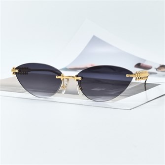 {{photo.Alt || photo.Description || 'CARTIER CT0543S золото серый'}}