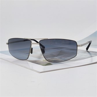 {{photo.Alt || photo.Description || 'PORSCHE DESIGN серебро серо-голубой'}}