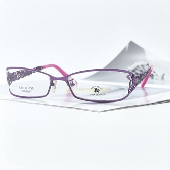 {{photo.Alt || photo.Description || 'SPYKER SPH017 C111'}}