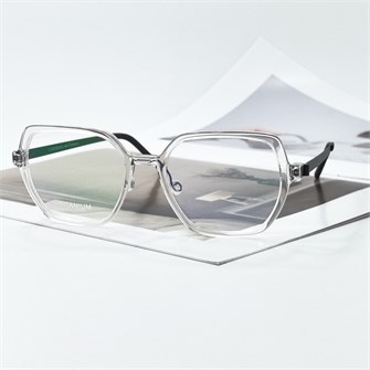 {{photo.Alt || photo.Description || 'LINDBERG 1121 Titanium прозрачный'}}