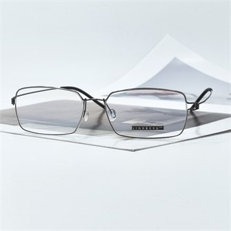 {{photo.Alt || photo.Description || 'LINDBERG TIM Titanium графит'}}