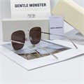 GENTLE MONSTER BLING Titanium серебро коричневый BE01379