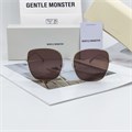 GENTLE MONSTER BLING Titanium серебро коричневый BE01379