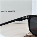 GENTLE MONSTER DION черный черный BR01564