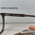 GENTLE MONSTER LUTTO коричневый BR01572