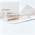 GENTLE MONSTER OAA прозрачный BR01583