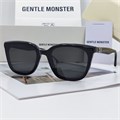 GENTLE MONSTER PINO черный черный BE01405