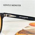 GENTLE MONSTER RON черный чайный BR01598