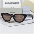 GENTLE MONSTER SOUND NET черный коричневый BE01383