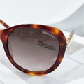TIFFANY&Co TF4104H янтарные BE01335
